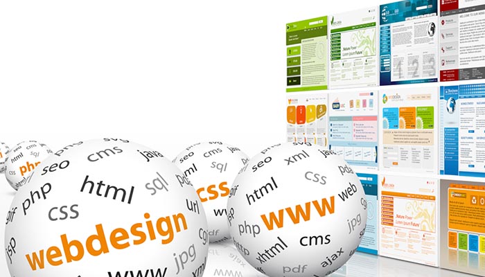 Website design and SEO services